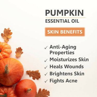 https://cdn.shopify.com/s/files/1/1857/6931/files/JKEbgm8z6Q.jpg?v=1731582409